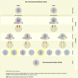 Meiosis-Game-screenshot