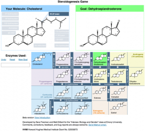 Steroidogenesis-Game-screenshot